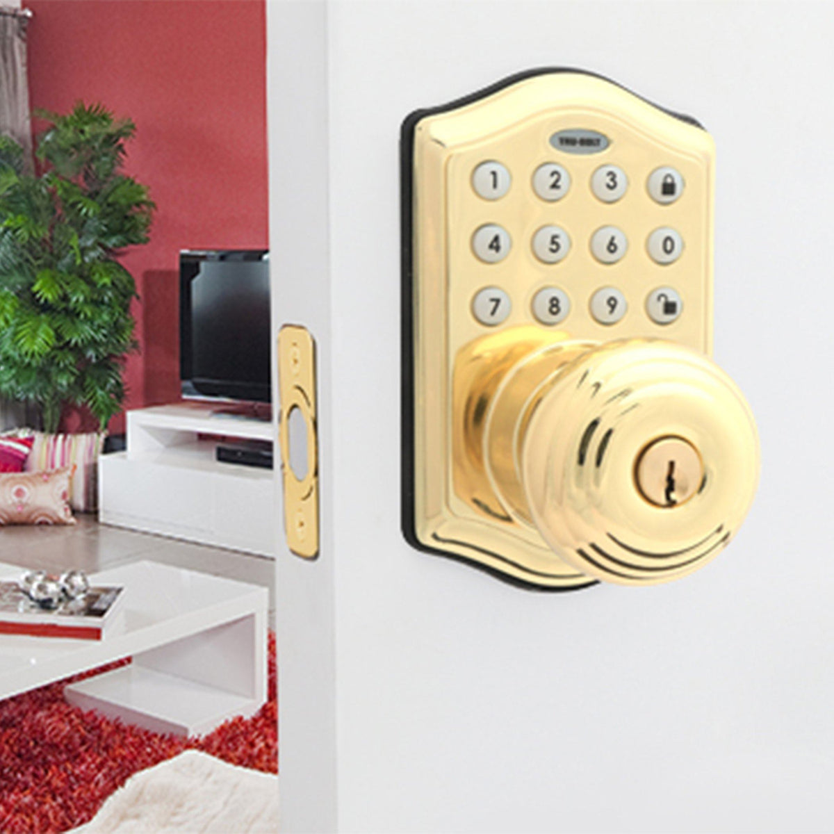 Honeywell 8732001 Electronic Entry Knob Door Lock with Keypad in Polished Brass Installed on Door