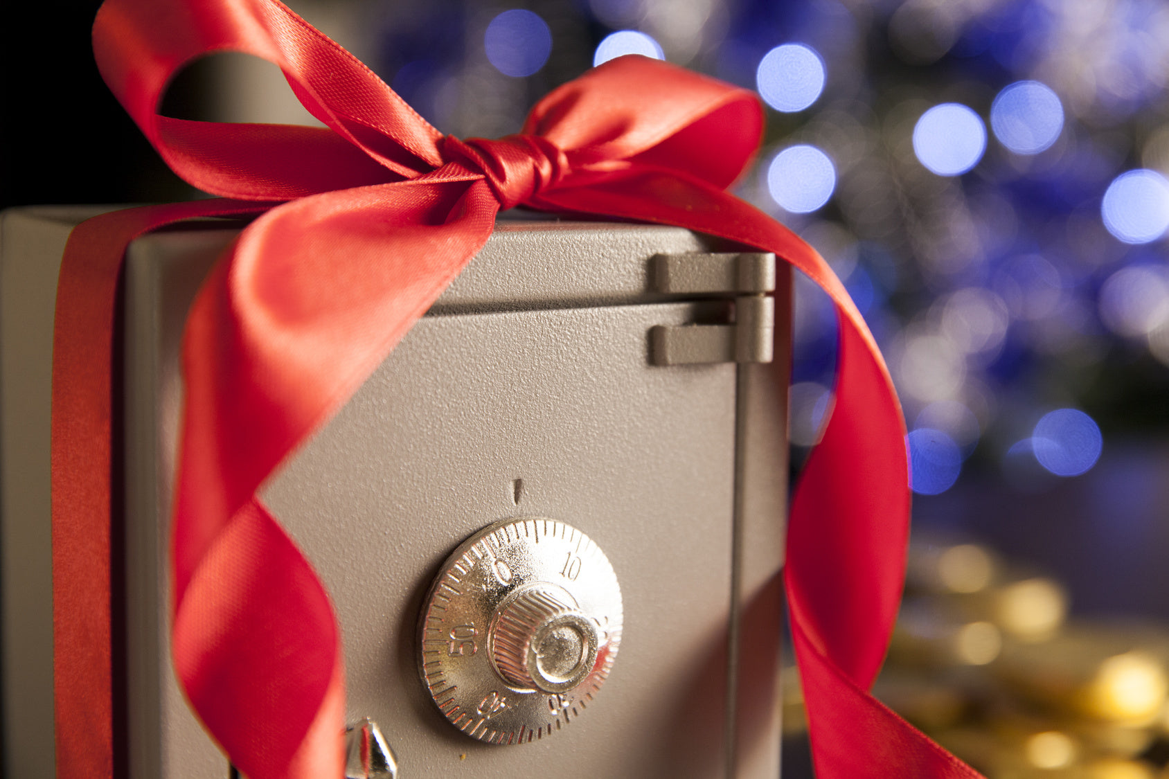 The perfect gift for your family this Christmas is a Gun Safe