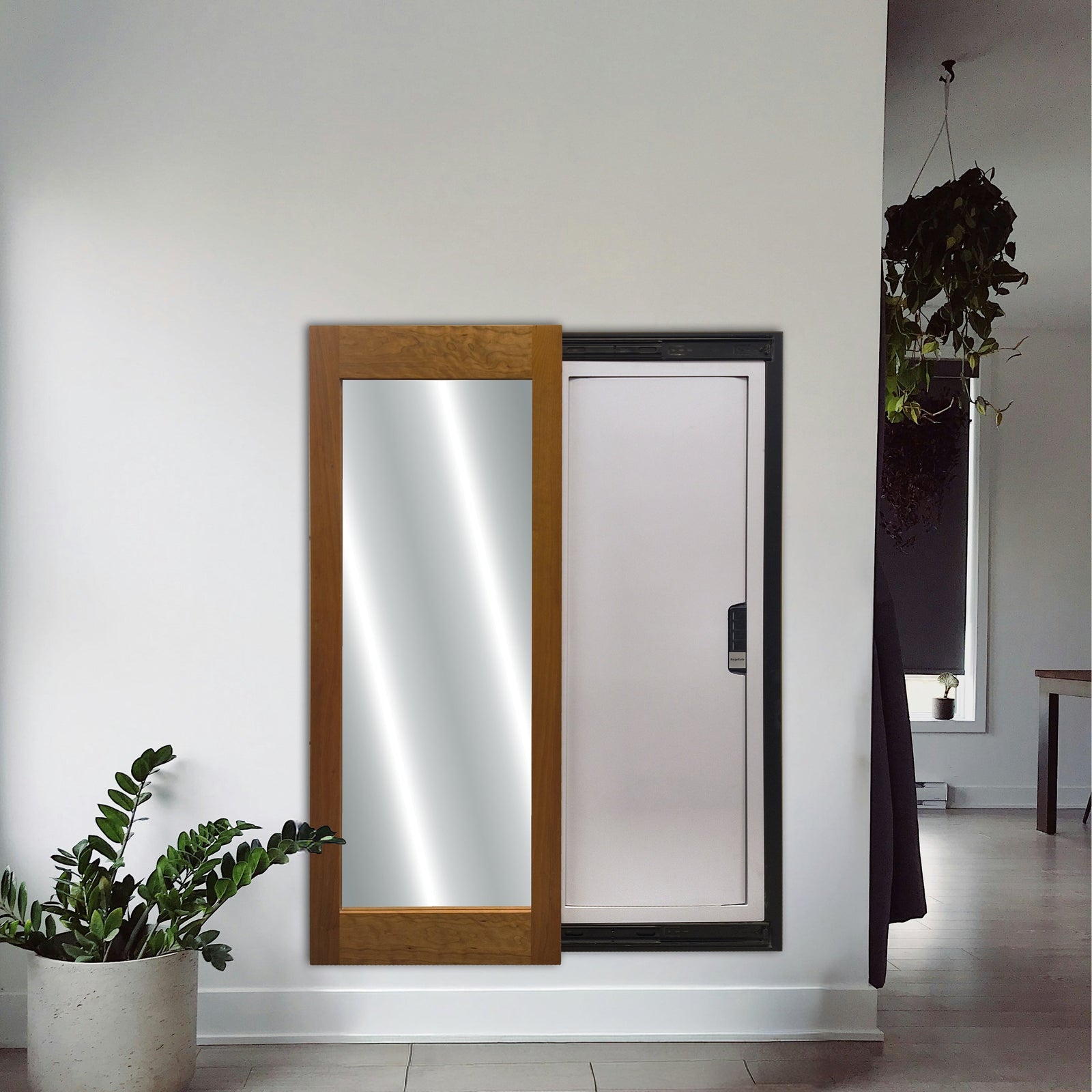 Go Secret Mirror + SnapSafe 75414 Combo