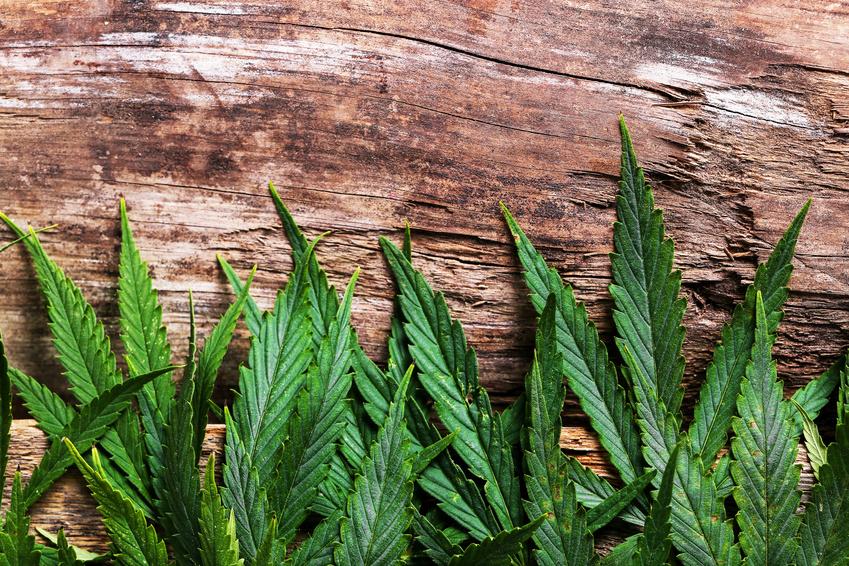 Why Can't I Use A Gun Safe To Store My Medical Cannabis?