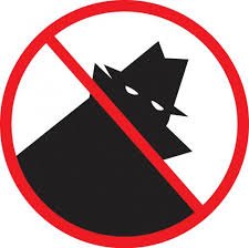 Security Cameras- Watch Your Home