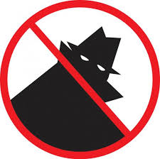 Security Cameras- Watch Your Home