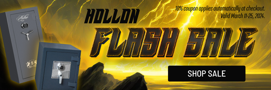 Safes best sale on sale