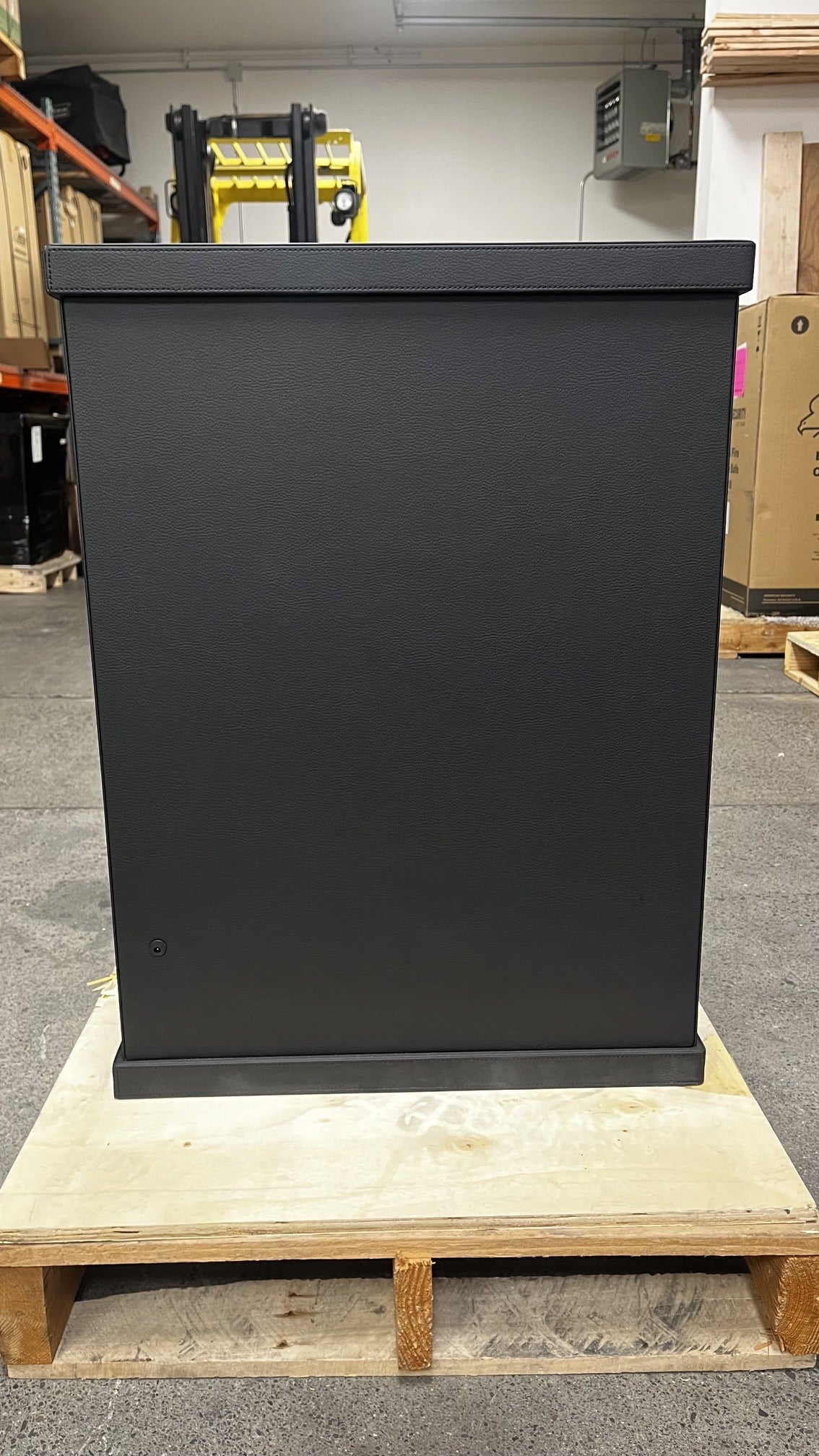 View of the back side of the safe. 