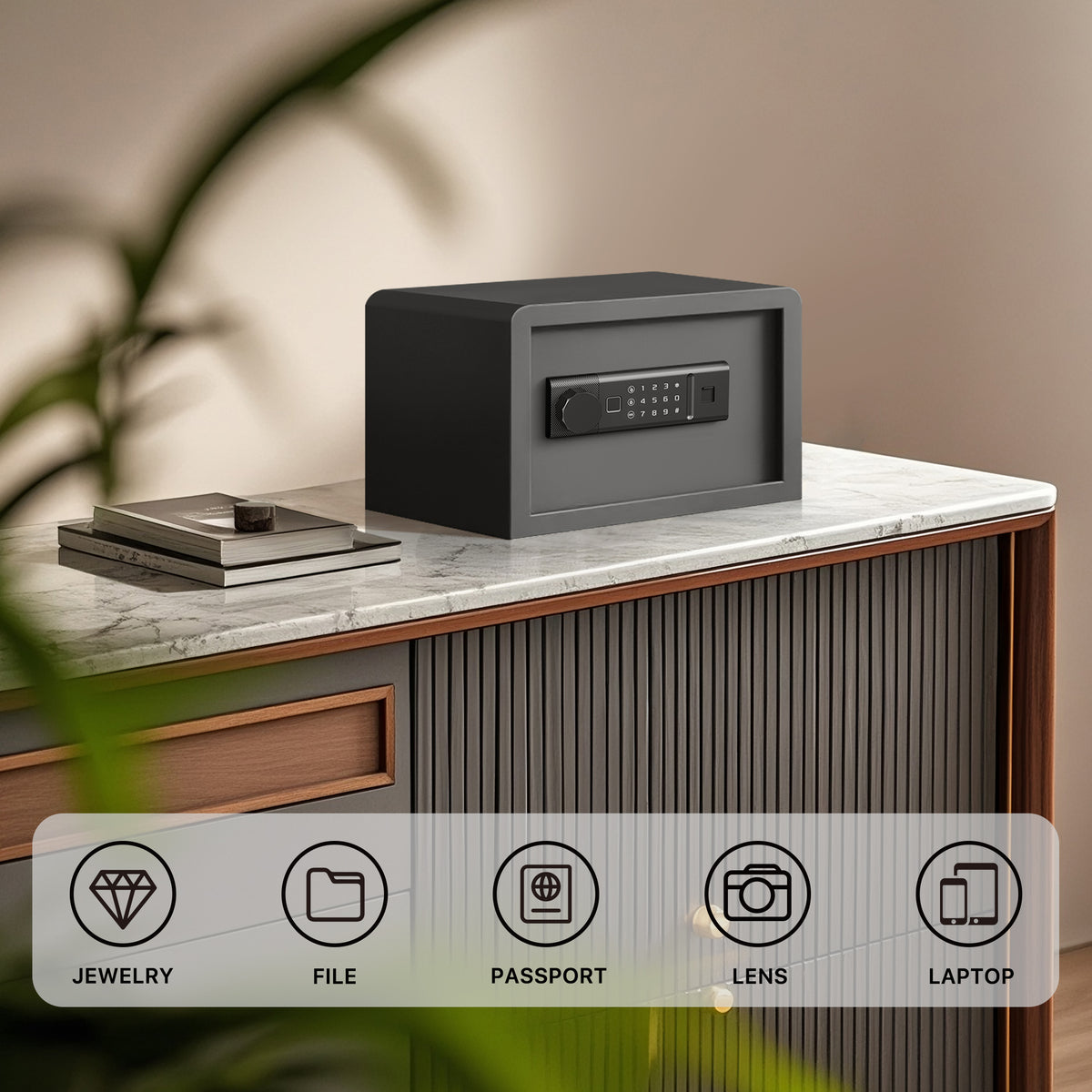 RPNB RP20FSA Biometric Home Safe on Side Table