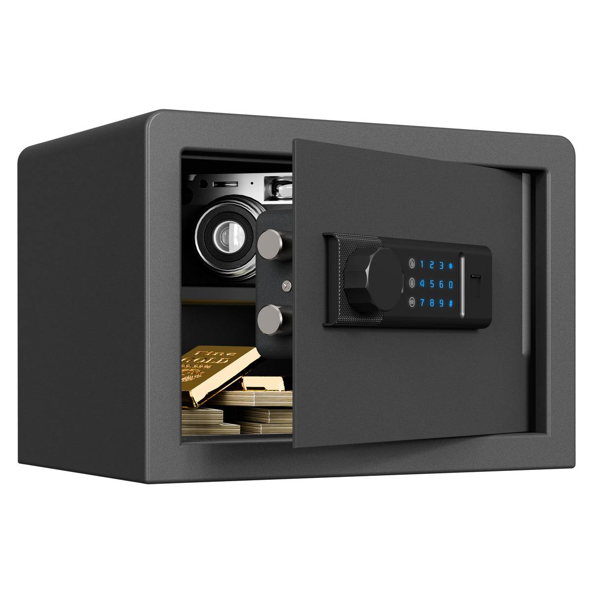 RPNB RP25FSA Biometric Home Safe Door Open
