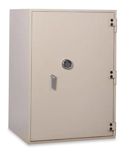 SafeandVaultStore F-5438 TL-30 F-Series Plate Safe