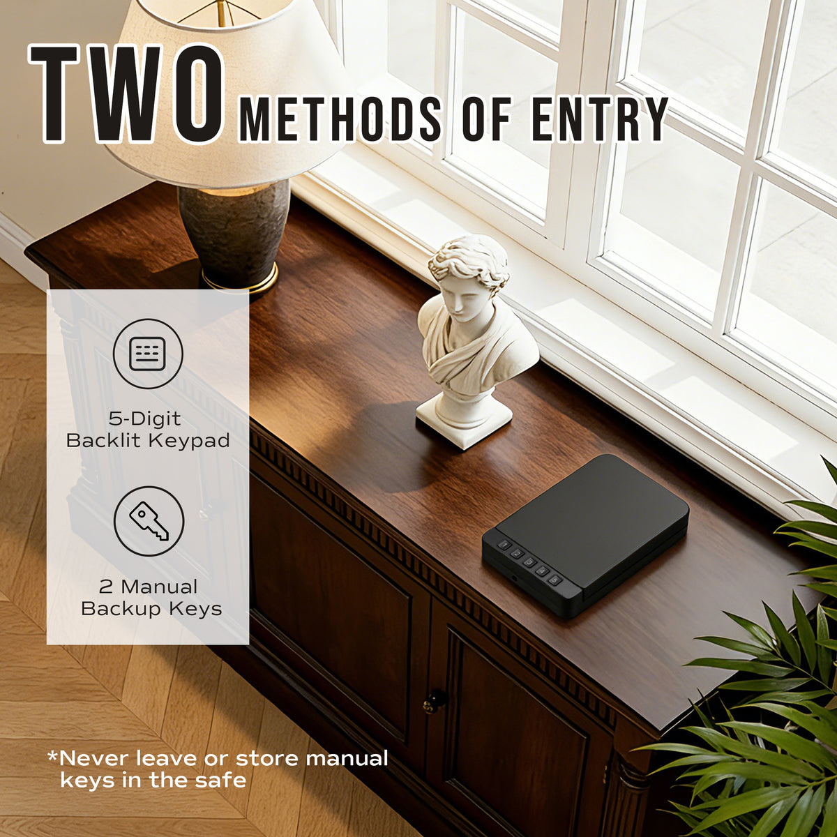 RPNB RP2019 pistol safe entry methods: 5-digit backlit keypad and two manual backup keys