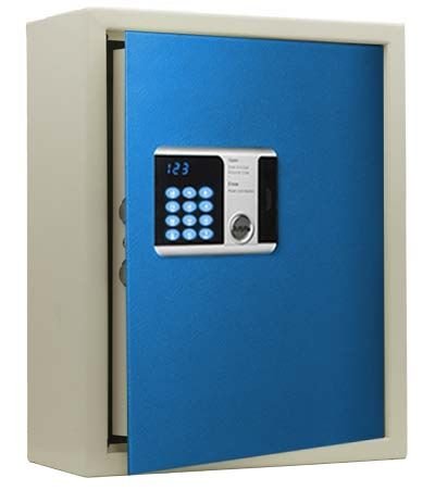 Dusaw SW15 Surface Wall Safe