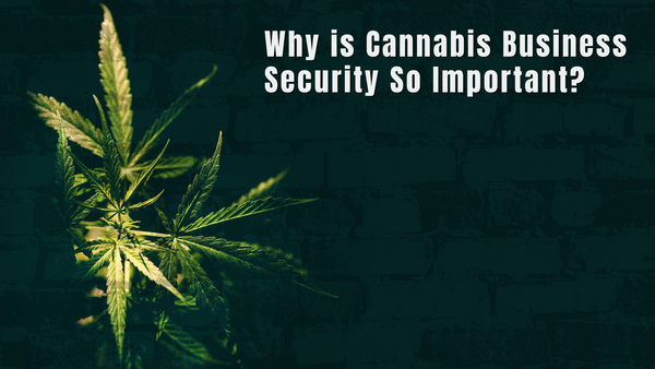 Why is Cannabis Business Security So Important?