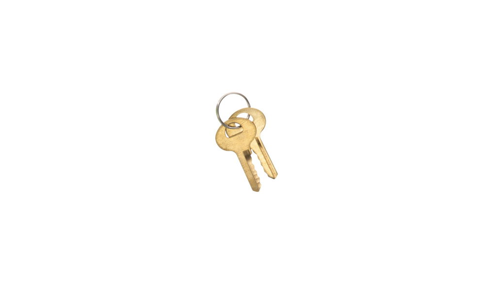 2 Keys on a key ring for the Lockdown Trigger Lock