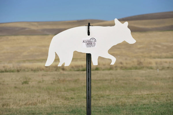 Steel Shooting Targets