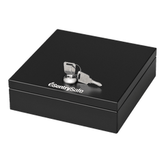 SentrySafe DS-1 Cash Box - Safe and Vault Store.com